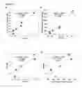 Fig. 13 - Method for single cell analysis of telomere length using pre-amplification and multiple-copy reference sequence