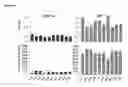 Fig. 16 - Method for single cell analysis of telomere length using pre-amplification and multiple-copy reference sequence