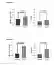 Fig. 17 - Method for single cell analysis of telomere length using pre-amplification and multiple-copy reference sequence