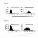 Fig. 18 - Method for single cell analysis of telomere length using pre-amplification and multiple-copy reference sequence