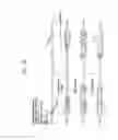 Fig. 03 - Recombinase Polymerase Amplification