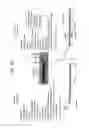 Fig. 15 - Recombinase Polymerase Amplification