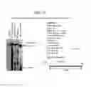 Fig. 17 - Recombinase Polymerase Amplification