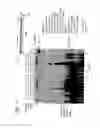 Fig. 22 - Recombinase Polymerase Amplification