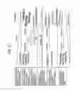 Fig. 32 - Recombinase Polymerase Amplification