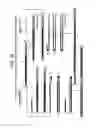 Fig. 40 - Recombinase Polymerase Amplification