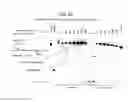 Fig. 41 - Recombinase Polymerase Amplification
