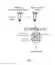 Fig. 03 - Nucleic acid amplification
