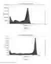 Fig. 13 - Nucleic acid amplification