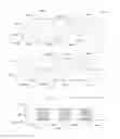 Fig. 17 - Nucleic acid amplification
