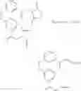 Fig. 22 - Nucleic acid amplification