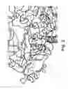 Fig. 03 - Modified polymerases for improved incorporation of nucleotide analogues