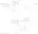 Fig. 11 - Modified nucleotides