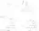 Fig. 23 - Modified nucleotides