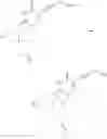 Fig. 44 - Modified nucleotides