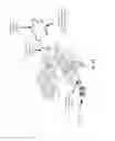 Fig. 02 - Enzyme-linked nucleotides