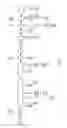Fig. 02 - Diagnostic Method Using PALB2/US