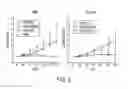 Fig. 04 - Diagnostic Method Using PALB2/US