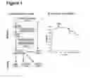Fig. 02 - PROGNOSTIC AND PREDICTIVE GENE SIGNATURE FOR NON-SMALL CELL LUNG CANCER AND ADJUVANT CHEMOTHERAPY