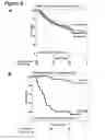 Fig. 03 - PROGNOSTIC AND PREDICTIVE GENE SIGNATURE FOR NON-SMALL CELL LUNG CANCER AND ADJUVANT CHEMOTHERAPY