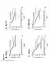 Fig. 13 - PROGNOSTIC AND PREDICTIVE GENE SIGNATURE FOR NON-SMALL CELL LUNG CANCER AND ADJUVANT CHEMOTHERAPY