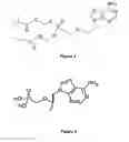 Fig. 03 - Detection and use of antiviral resistance mutations