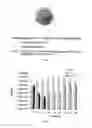 Fig. 02 - NANOPRODUCT COMPRISING LACTOBACILLUS REUTERI DAN080 USEFUL IN PROPHYLAXIS AND MEDICINE, BOTH HUMAN AND VETERINARY AND MEDICAL USE OF THE SAME