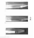 Fig. 03 - Carbon purification of concentrated sugar streams derived from pretreated biomass