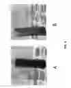 Fig. 11 - Carbon purification of concentrated sugar streams derived from pretreated biomass