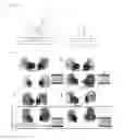 Fig. 07 - Solder alloy and joint thereof