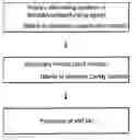 Fig. 01 - METHOD FOR MANUFACTURING HIGH PURITY MANGANESE AND HIGH PURITY MANGANESE