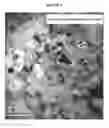 Fig. 10 - Nanostructured titanium alloy and method for thermomechanically processing the same