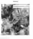 Fig. 11 - Nanostructured titanium alloy and method for thermomechanically processing the same