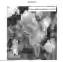 Fig. 12 - Nanostructured titanium alloy and method for thermomechanically processing the same