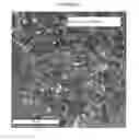 Fig. 13 - Nanostructured titanium alloy and method for thermomechanically processing the same