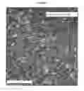 Fig. 18 - Nanostructured titanium alloy and method for thermomechanically processing the same