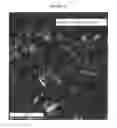 Fig. 19 - Nanostructured titanium alloy and method for thermomechanically processing the same