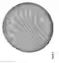 Fig. 03 - Azimuthal mixer