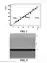 Fig. 02 - Nanowire cluster and template and method for nanowire cluster formation