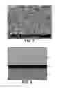 Fig. 05 - Nanowire cluster and template and method for nanowire cluster formation