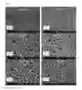 Fig. 08 - ELECTRODEPOSITION OF SILVER WITH FLUOROPOLYMER NANOPARTICLES