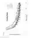 Fig. 13 - ELECTRODEPOSITION OF SILVER WITH FLUOROPOLYMER NANOPARTICLES