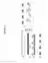 Fig. 07 - Porous particles and methods of making thereof