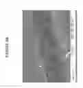 Fig. 12 - Porous particles and methods of making thereof