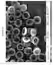 Fig. 14 - Porous particles and methods of making thereof