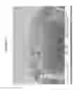 Fig. 17 - Porous particles and methods of making thereof