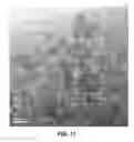 Fig. 17 - Crystalline strontium titanate and methods of forming the same