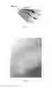 Fig. 02 - MOISTURE TRANSFER YARN AND FABRIC