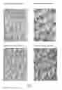 Fig. 03 - Method for treating a substrate made of animal fibers with solid particles and a chemical formulation comprising a colourant