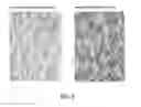 Fig. 04 - Method for treating a substrate made of animal fibers with solid particles and a chemical formulation comprising a colourant
